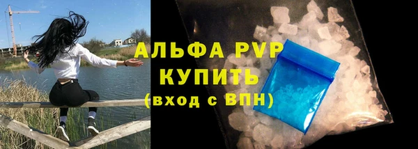 PSILOCYBIN Горнозаводск