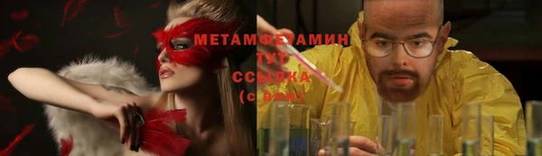 индика Волосово