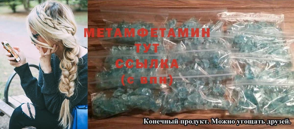 индика Волосово