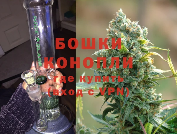 индика Волосово