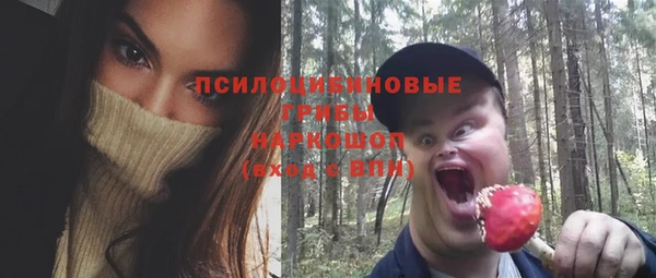соль ск Горняк