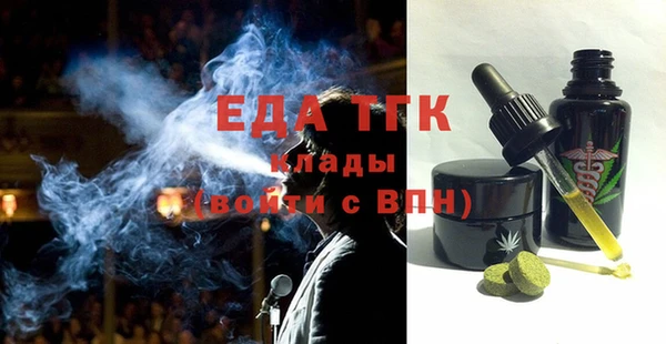 индика Волосово