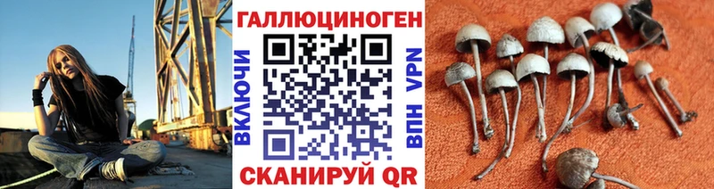 Галлюциногенные грибы мухоморы  сколько стоит  Ельня 
